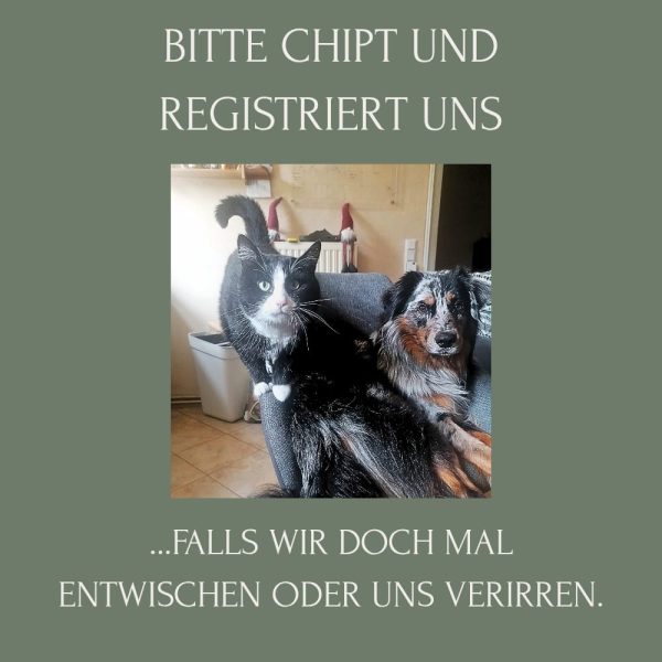 Chippen und Registrieren