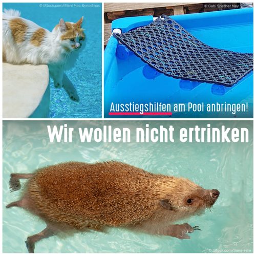 Poolsicherung